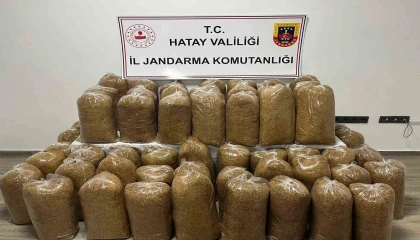 Hatayda Jandarmadan geniş çaplı asayiş operasyonu