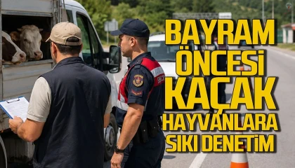 Hatayda Kurban Bayramı öncesi hayvan sevkiyatlarına sıkı denetim