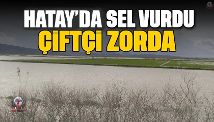 HATAYLI ÇİFTÇİYİ SEL VURDU