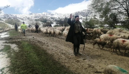 Ispartada yaylada mahsur kalan çobanlar 30 saat sonra kurtarıldı