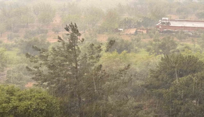 Kahramanmaraşta gök gürültü sağanak yagış etkili oldu