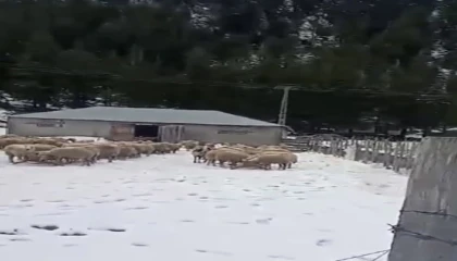 Kar kalınlığı 1 metreye ulaştı, mahsur kalan vatandaş kurtarıldı