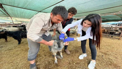 Kepezde kurban satış ve kesim yerleri denetim altında