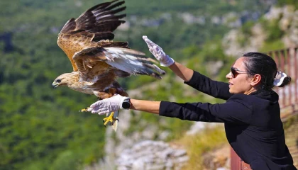 Kızıl şahin tedavisi sonrası yeniden gökyüzüne kavuştu