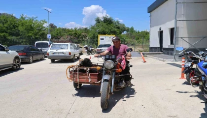 Kurbanlıkları sepetli motosikletlerle taşıdılar