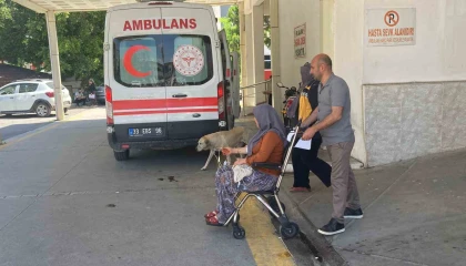 Mantar yiyen 7 kişi zehirlenme şüphesiyle hastaneye kaldırıldı