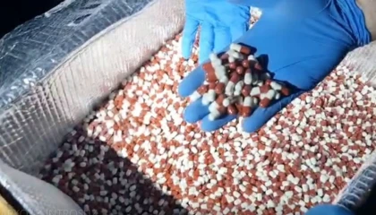 Mersinde 317 bin 285 adet uyuşturucu hap ele geçirildi
