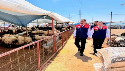 Mersinde Kurban Bayramı öncesi satış noktalarında sıkı denetim