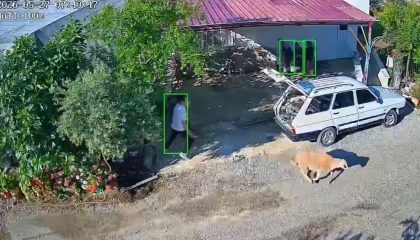 Mersinde kurbanlıklar kaçtı, bayram neşesi kameralara yansıdı