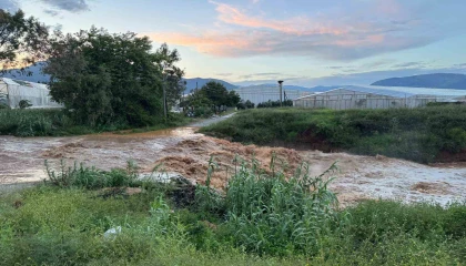 Mersinde sağanak etkili oldu: Sel suları yolu aştı, bahçeler sular altında kaldı