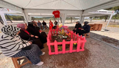Okul saldırısında hayatını kaybeden Alminanın mezarı pembeye boyandı