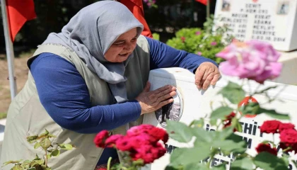 Şehit annesi: Yaşıyor muyum yaşamıyor muyum bilmiyorum