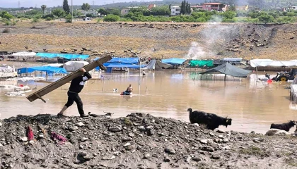 Selle birlikte sular altında kalan pazarda hayvanları kurtarmak için çalışmalar sürüyor