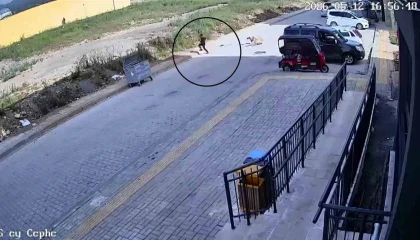 Sokak köpeklerinin saldırdığı 7 yaşındaki çocuk korku dolu anlar yaşadı