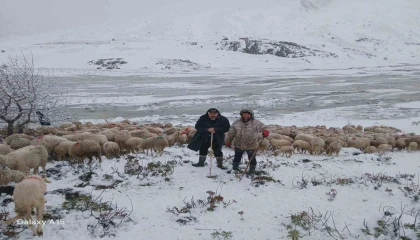 Tipi vurdu heyelan yolu kapattı, 2 çoban ve yaklaşık 650 küçükbaş hayvan yaylada mahsur kaldı