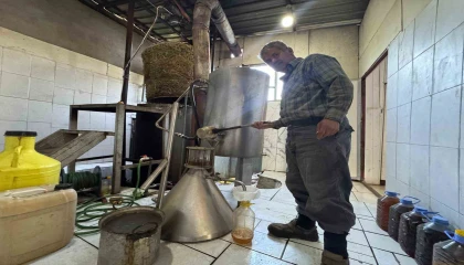 Toroslarda yetişen 31 farklı bitkinin yağını çıkartıp ülkenin dört bir yanına gönderiyor