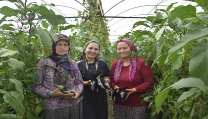 Üç kuşak kadın serada: Nineden toruna hem üretime hem aile ekonomisine katkı sağlıyorlar
