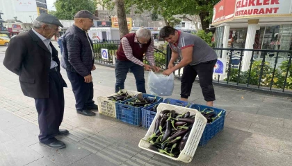 Ürettiği patlıcanlar maliyetini kurtarmayınca serasının kapılarını vatandaşlara açtı