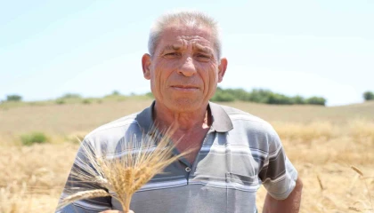 Adanada ata tohumu karakılçık buğdayı yeniden üretime kazandırıldı