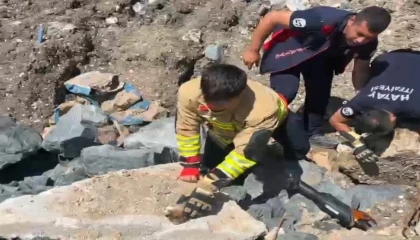 Anne kedi yavruları kurtarılana kadar ekiplerin başında bekledi