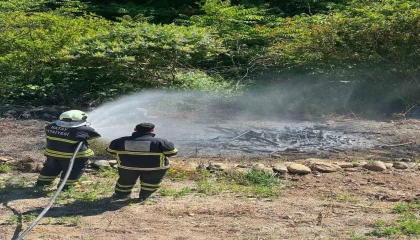 Antakyada zeytinlik alan yangını
