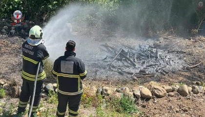 Antakyada zeytinlik alan yangını