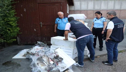 Antalya Otogarında balık operasyonu: 260 kilo ele geçirildi