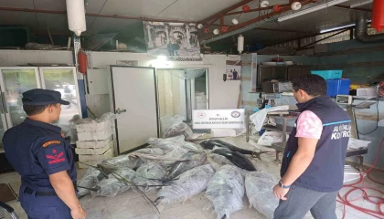 Antalyada avlanması ve satışı yasak olan 603 kilogram balığa el konuldu
