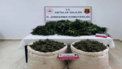 Antalyada uyuşturucu operasyonunda 11 kilo 100 gram kubar esrar ele geçirildi