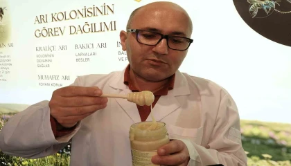 Bu da beyaz bal: Gören önce inanmıyor ama tamamen gerçek ve doğal bal