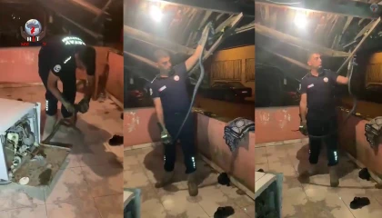 Bulaşık makinesine giren 2 metrelik karayılanı itfaiye çıkardı