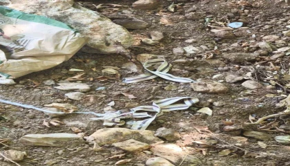Devriye gezen jandarma son anda fark etti, bir hayat kurtuldu