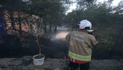 Hassada çamlık alan yangını
