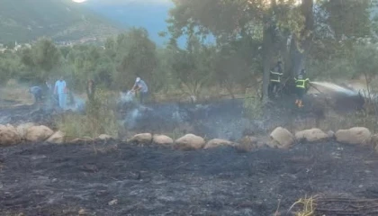 Hassada zeytinlik alan yangını