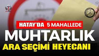 Hatayda 5 mahallede muhtarlık ara seçimi heyecanı