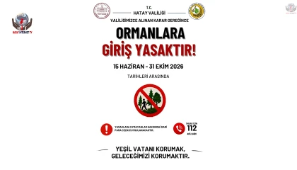HATAY’DA ORMANLARA GİRİŞLER YASAKLANDI