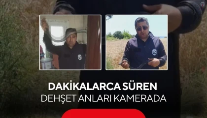 HATAYDA EVE GİREN YILAN DOĞAYA SALINDI