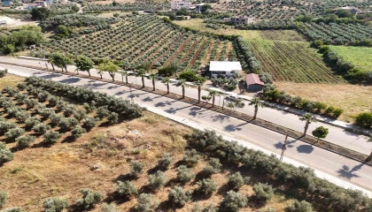 HBB, Hassada prestij cadde çalışmalarını sürdürüyor