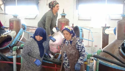 Ispartanın pembe hazinesi: 4 ton gülden elde edilen yağın kilosu 12 bin avroya alıcı buluyor