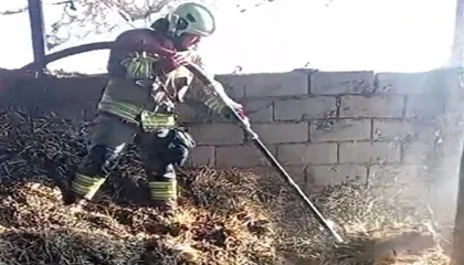 Kahramanmaraşta ahır yangını korkuttu