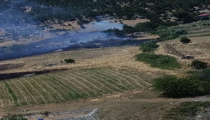 Kahramanmaraşta orman yangını kontrol altına alındı