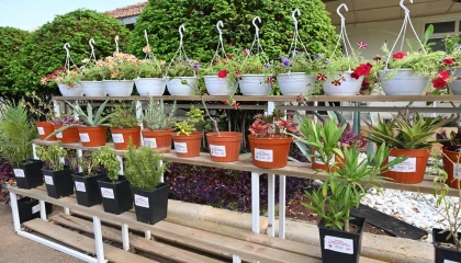Kepez Bahçe Market Antalyanın hizmetine açılıyor