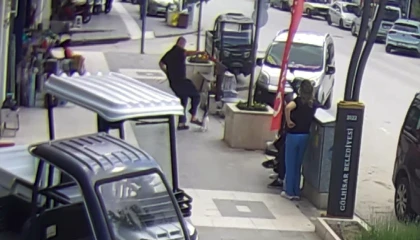 Köpeğine saldıran kediye tekme attı, o anlar kameraya yansıdı
