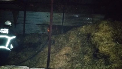 Kumluda samalık yangını