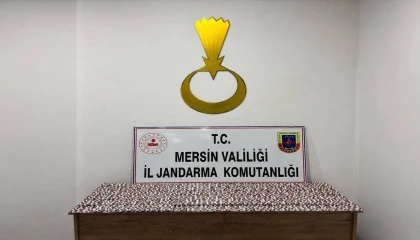 Mersinde 7 bin 256 sentetik hap ele geçirildi, 1 tutuklama