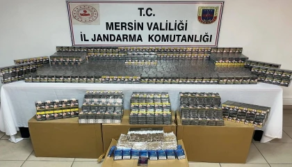 Mersinde kaçak makaron operasyonu: 2 gözaltı