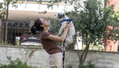 Mersinde sahiplendirme kampanyasıyla bin 927 köpek yeni yuvasına kavuştu