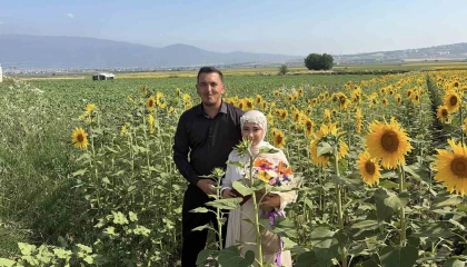 Osmaniyede ayçiçeği tarlaları yeni evli çiftlerin gözdesi oldu