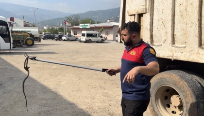 Osmaniyede kaçak yolcu yılan, üçüncü araçta yakalandı