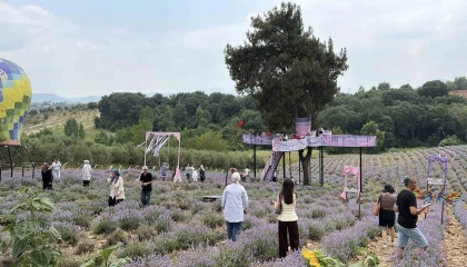 Osmaniyede mis kokulu lavantalar arasında renkli festival